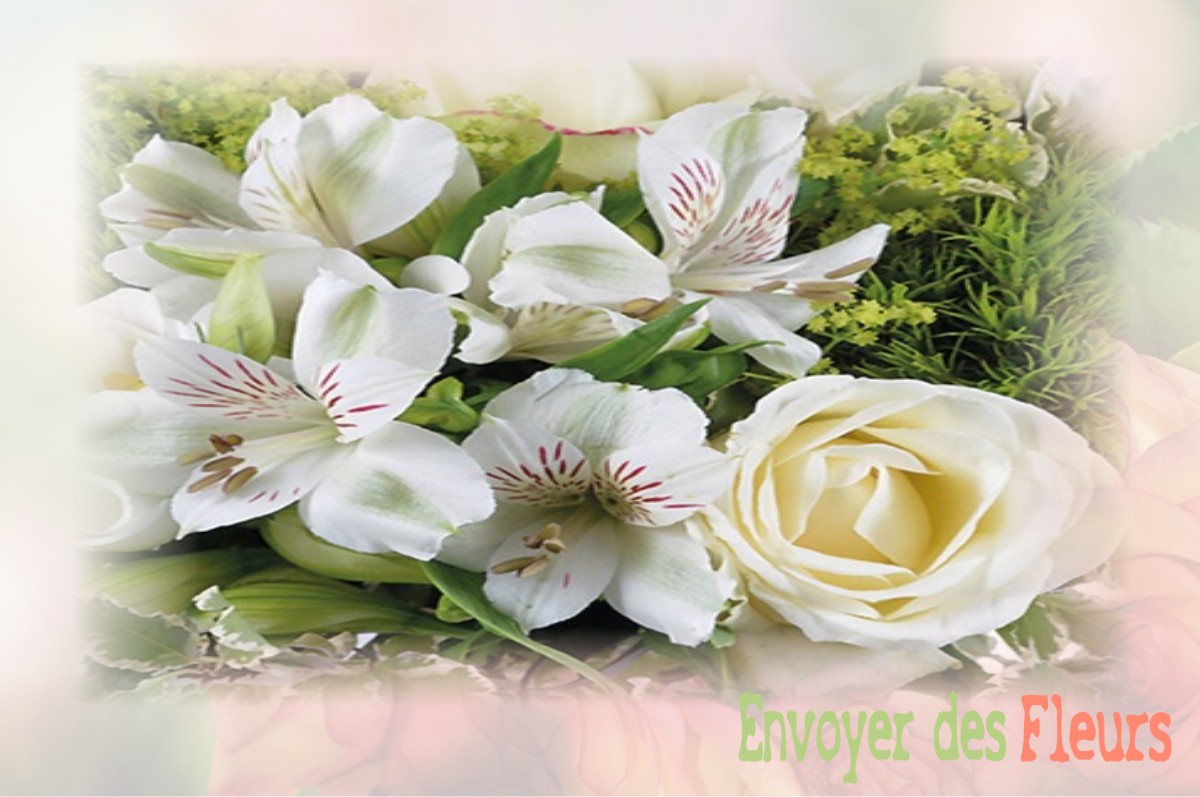 envoyer des fleurs à à VILLENEUVE-SOUS-DAMMARTIN