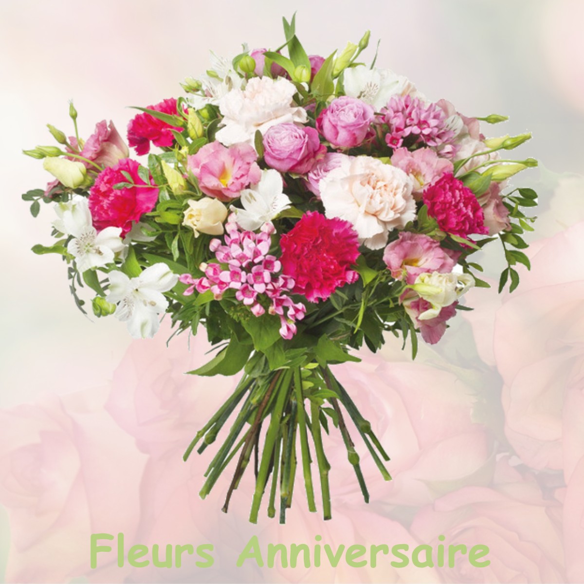 fleurs anniversaire VILLENEUVE-SOUS-DAMMARTIN